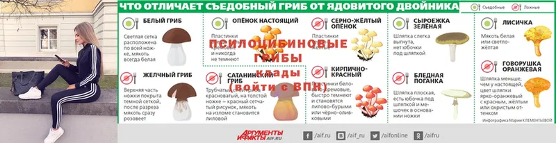 hydra зеркало  Глазов  Псилоцибиновые грибы GOLDEN TEACHER 